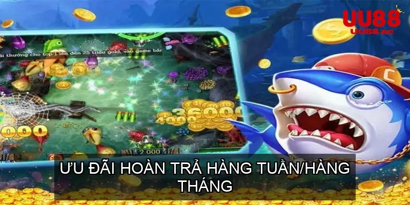 Ưu Đãi Hoàn Trả Hàng Tuần/Hàng Tháng