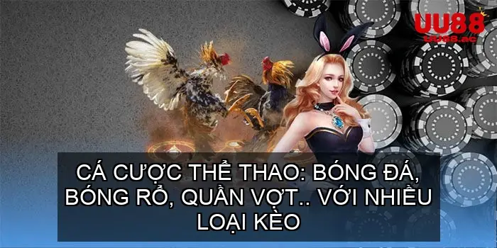Cá cược thể thao: Bóng đá, bóng rổ, quần vợt.. với nhiều loại kèo